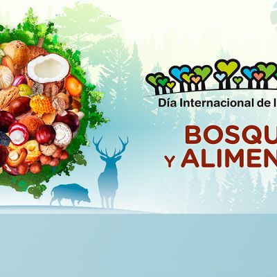 Lema delñ día internacional de los Bosques 2025