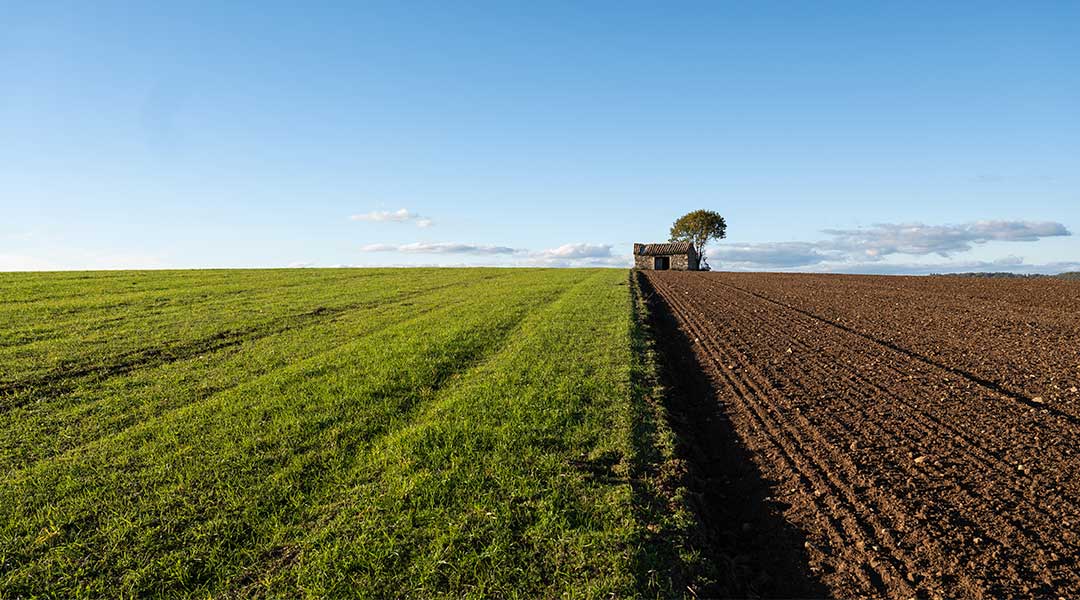 Paisaje agrario Agroferti Aevae