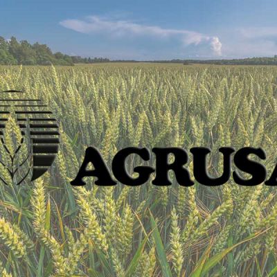 logo Agrusa campos de trigo
