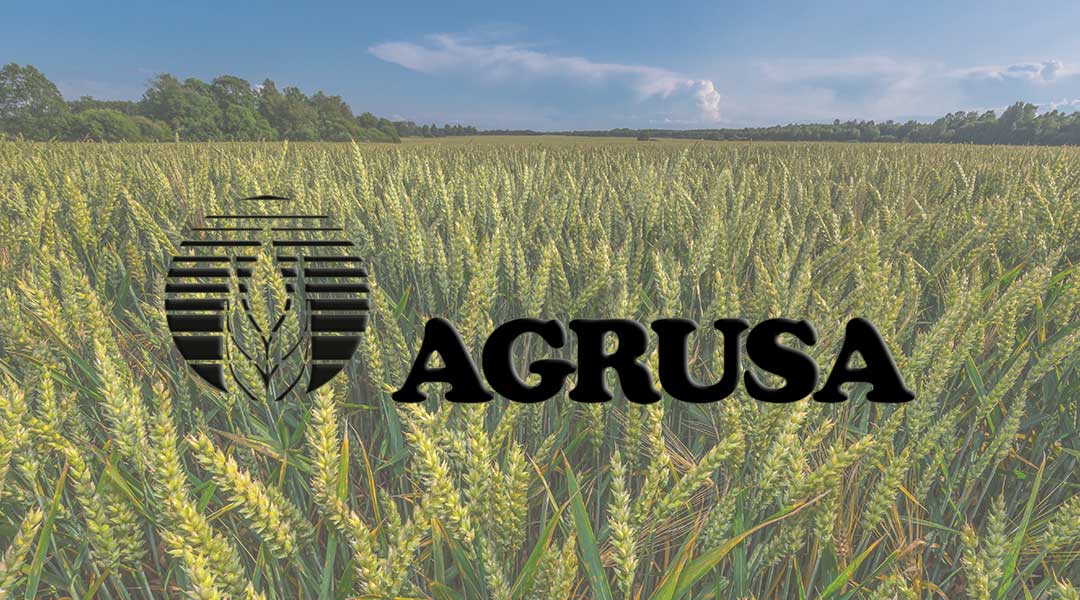 logo Agrusa campos de trigo