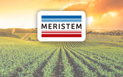 MERISTEM