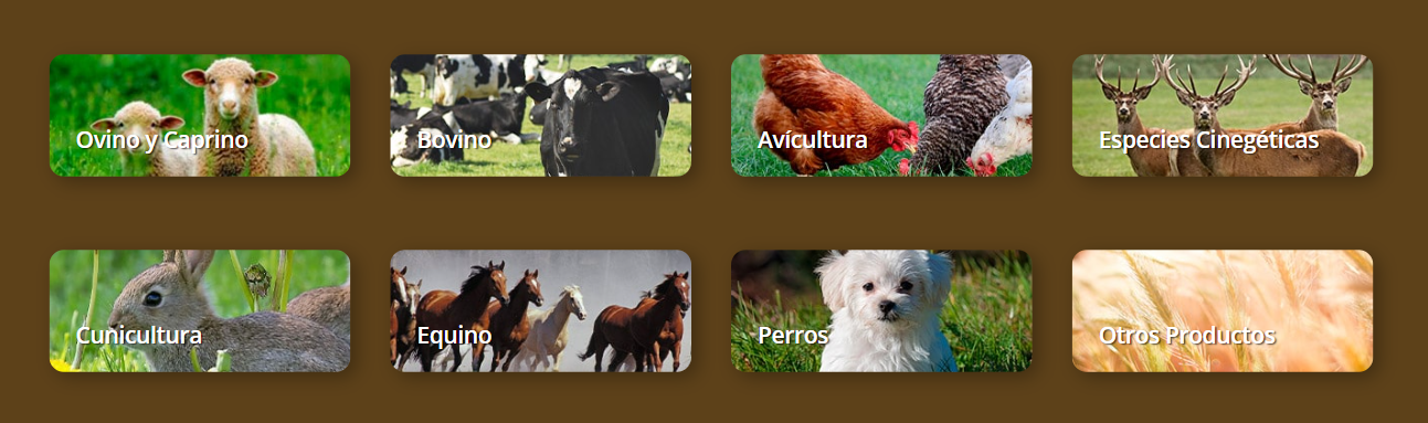 Animales alimentos el arca de NoÉ