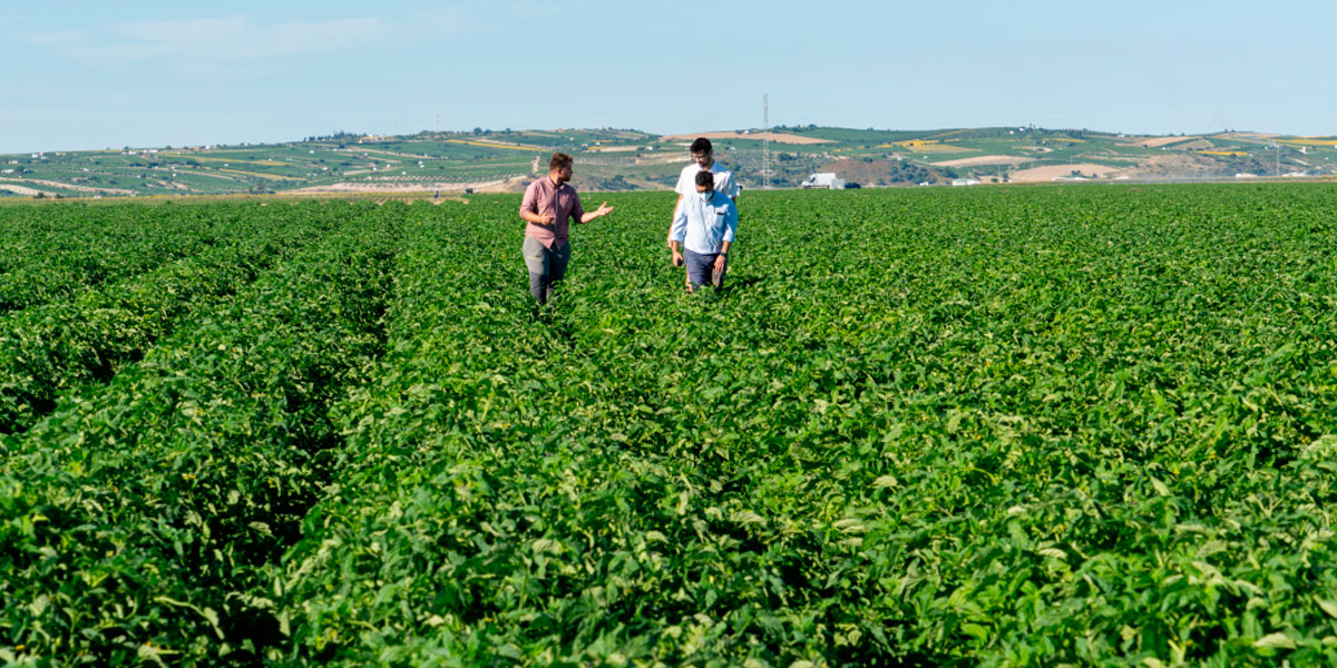 Asesoramiento a agricultores