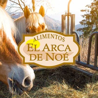 Caballos pastando pienso el arca de Noe