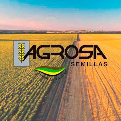 Logo Agrosa semillas sobre campos cereal