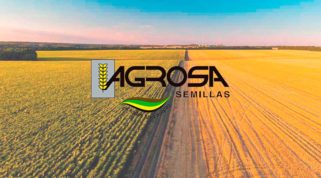 Logo Agrosa semillas sobre campos cereal