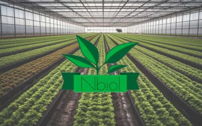 Nbiol Development