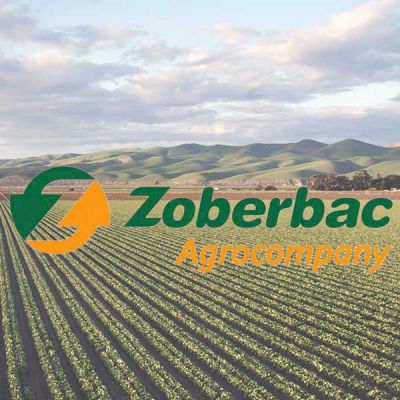 Logo Zoberbac sobre imagen de cultivos