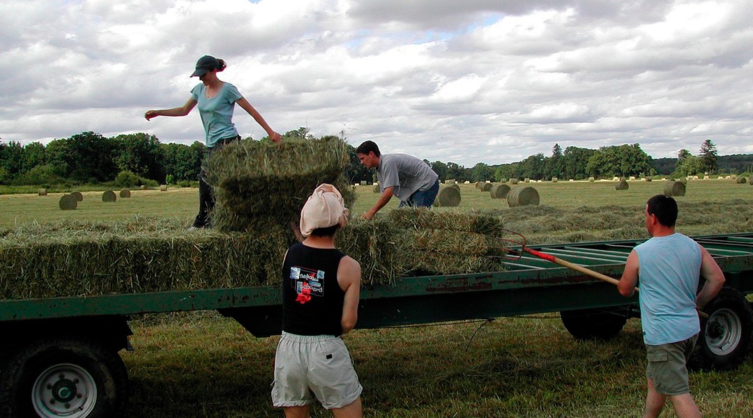 Trabajo en el campo
