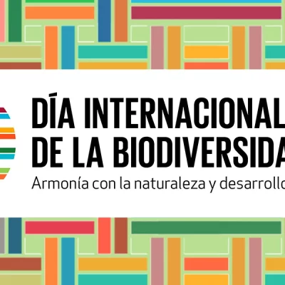 Armonía con la naturaleza 2025