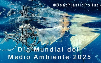 Día Mundial del Medio Ambiente 2025