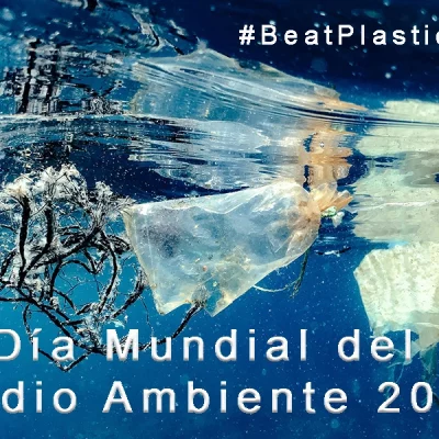 #Beatplasticpollution-2025