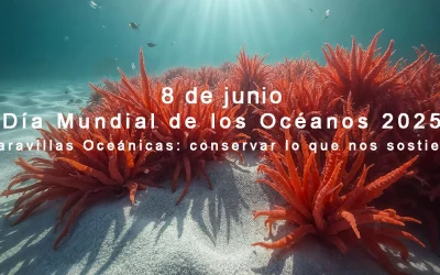 Día Mundial de los Océanos 2025