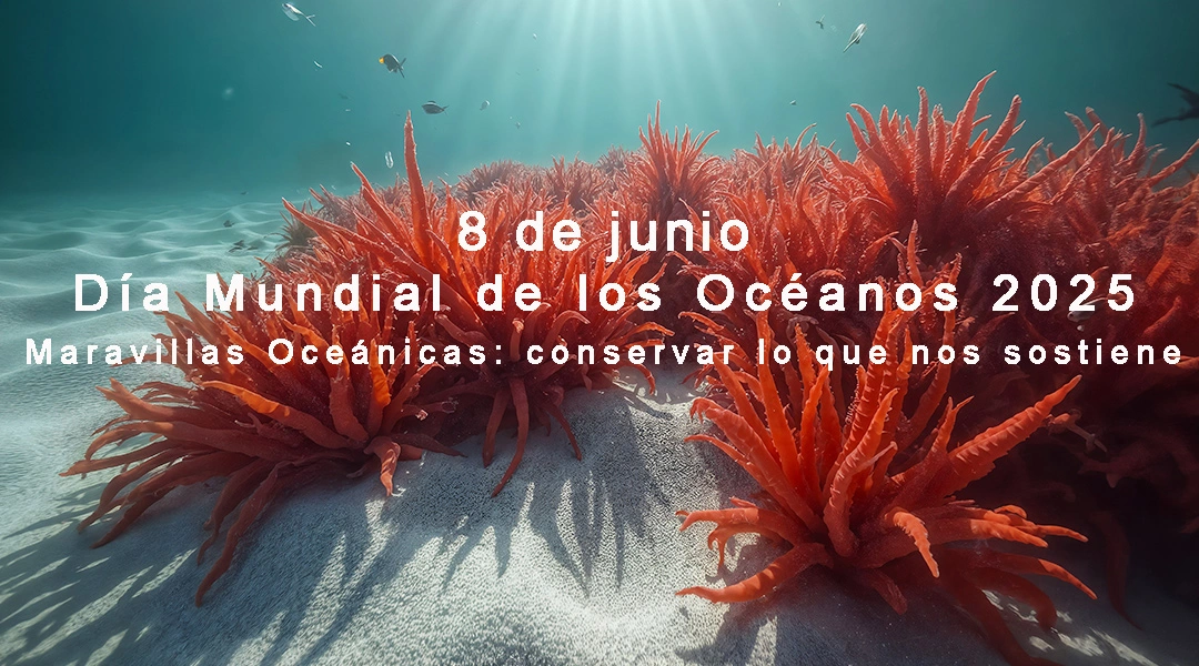 8 de Junio Día Mundial de los Océanos
