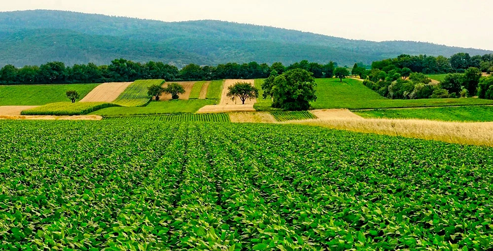 Paisaje agrario