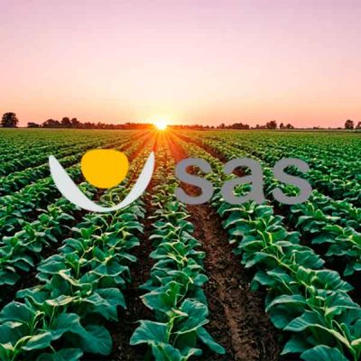 Cultivo hortalizas puesta de sol logo SAS