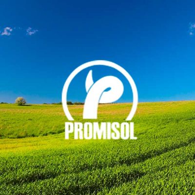 Paisaje agrario logo Promisol