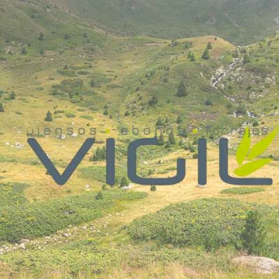 Paisaje Asturias logo piensos Vigil