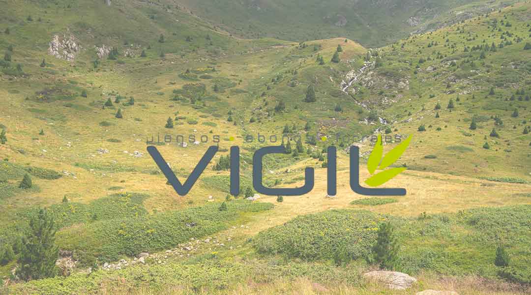 Piensos Vigil
