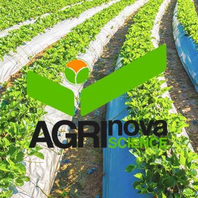 Cultivo fresa AGRI nova science