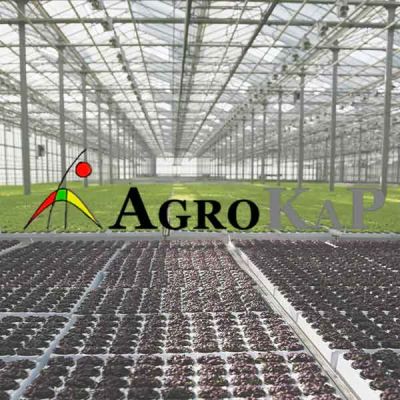 Cultivos invernadero Agrokap