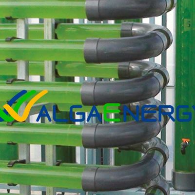 Produccion algas logo Algaenergy