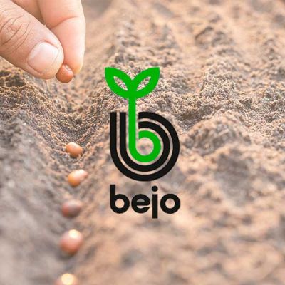 Cultivo de semillas | Bejo Ibérica