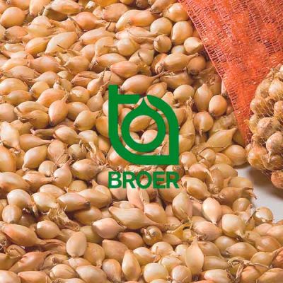 Chalotas logo BROER