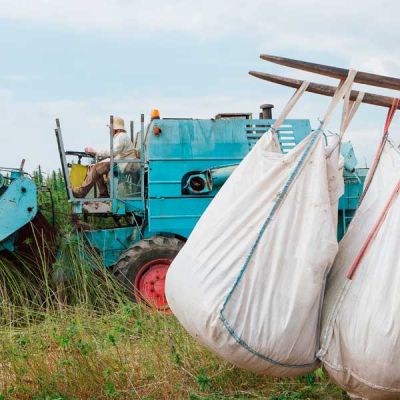 Gestión de residuos agrícolas en campos
