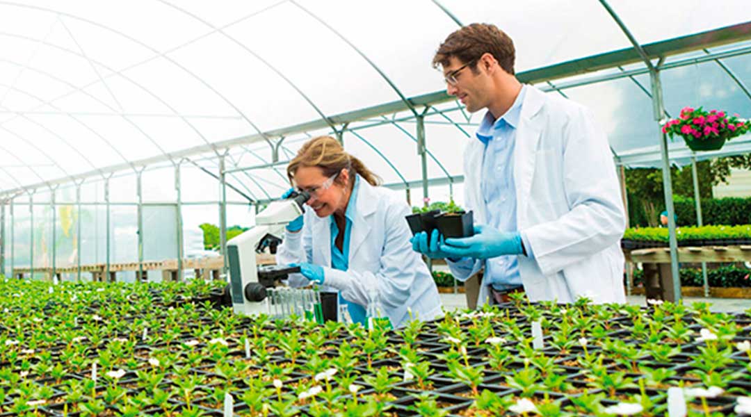 Investigadores en agricultura