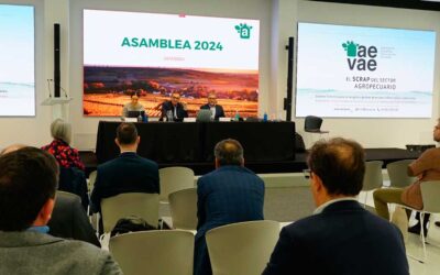 Asamblea General AEVAE 2024