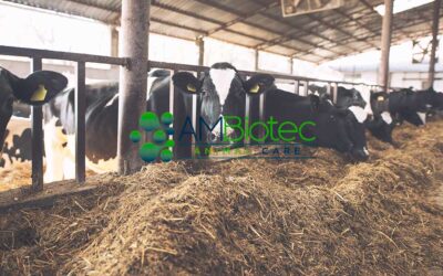 AMBiotec