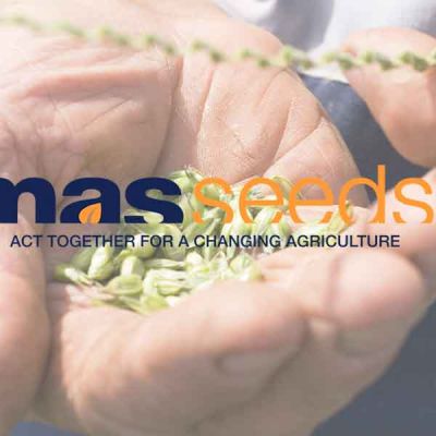 Mano con semillas y logo Mas seeds