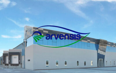 Arvensis