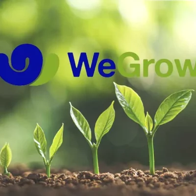 Evolución crecimiento plantas con logo Wegrow