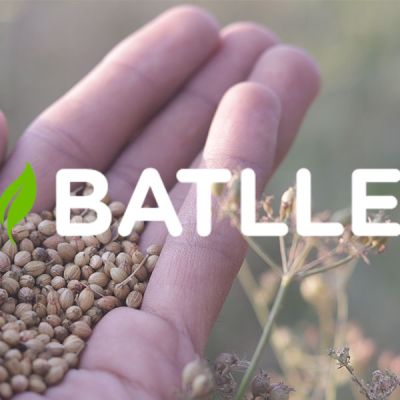 Logo de BATLLE sobre mano con semillas