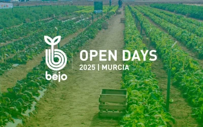 Bejo Open Days de Murcia 2025