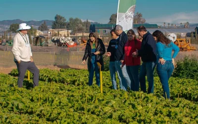 Novedades en el Bejo Open Days de Murcia