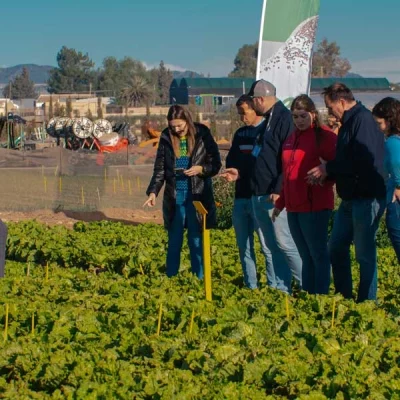 Novedades en el Bejo Open Days de Murcia