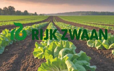Rijk Zwaan