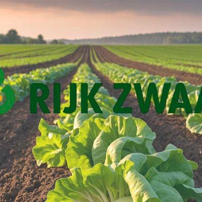 Logo Rijk Zwaan cultivos hortÍcolas