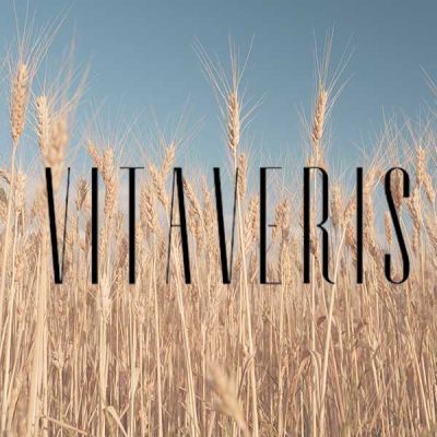 Paisaje agrario trigo logo VITAVERIS