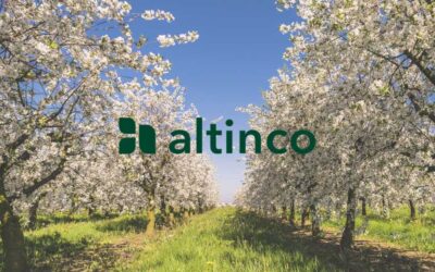 ALTINCO