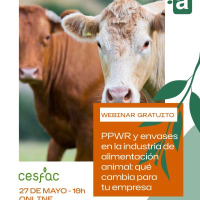 PROPUESTA-CREATIVIDAD-WEBINAR-CESFAC