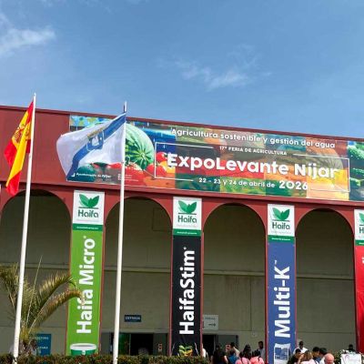AEVAE EXPOLEVANTE