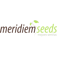 Logo Meridiem Seeds