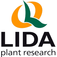 Lida