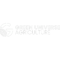 Logo Blanco Green Universe