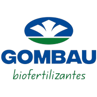 Logo Gombau Aevae