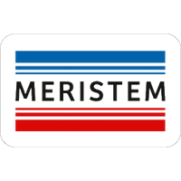 Meristem